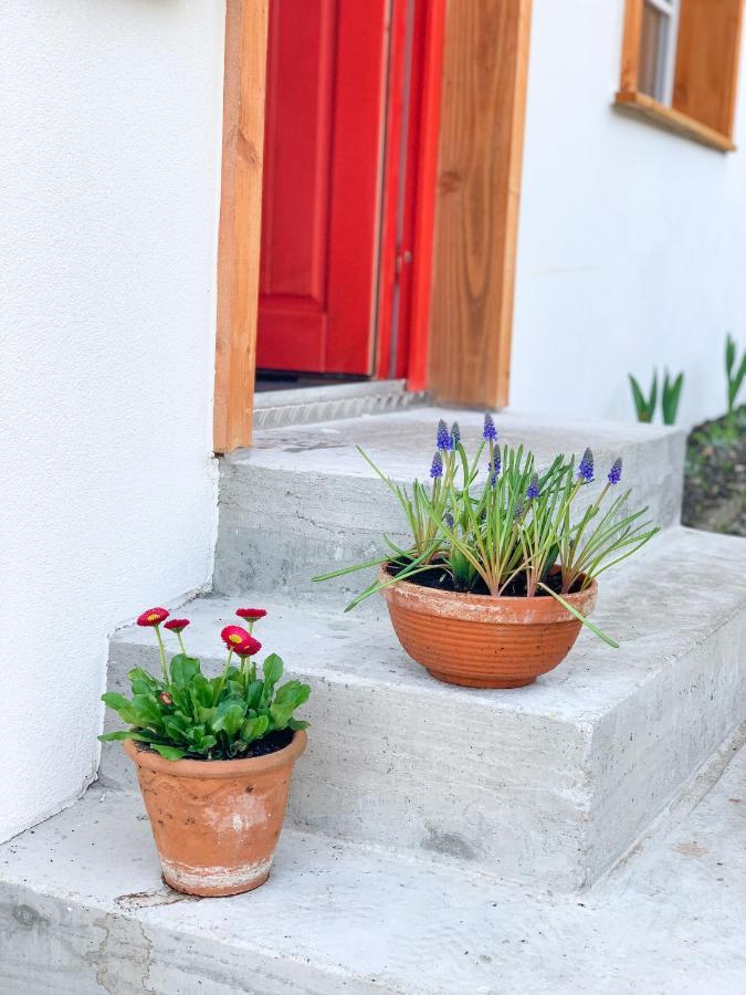 Neckargemünd Ferienhaus Feni מראה חיצוני תמונה